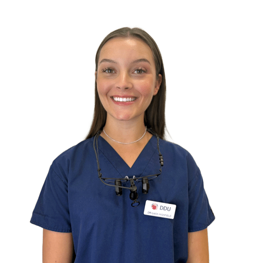 Dr Cara Highfield